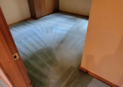 Carpet Cleaning Service