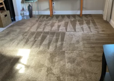 Competent Carpet Cleaning Service