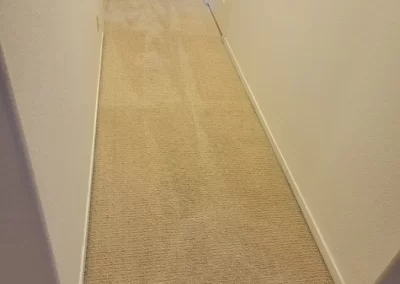 Exceptional Carpet Cleaning Service