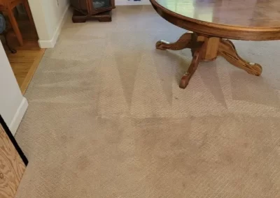 Extraordinary Carpet Cleaning Service