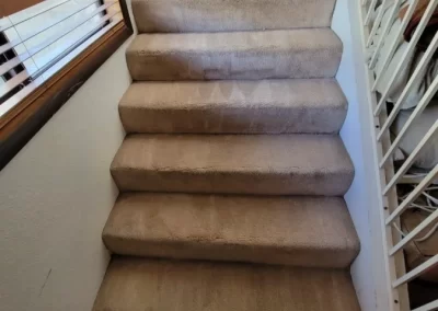 Impressive Carpet Cleaning Service