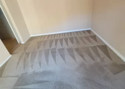 Perfect Carpet Cleaning Service