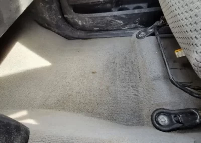 Rug Cleaning Professional