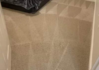 Splendid Carpet Cleaning Service