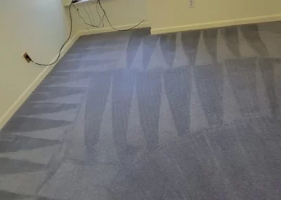 Trusted Carpet Cleaning Service