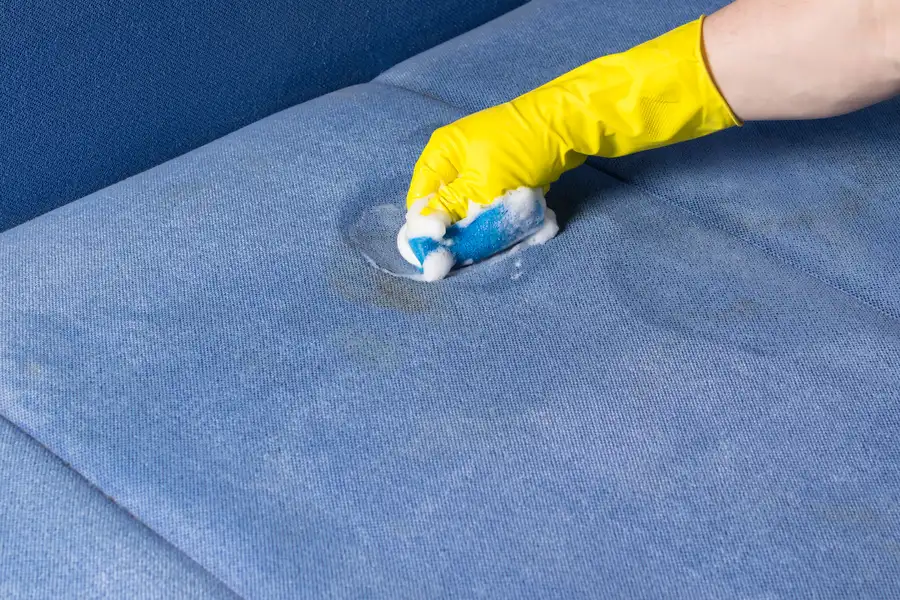 Reliable Upholstery Cleaning Services Santa Rosa CA Reliable Upholstery Cleaning Services Santa Rosa CA